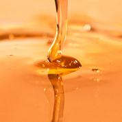 Nº1 Šampon