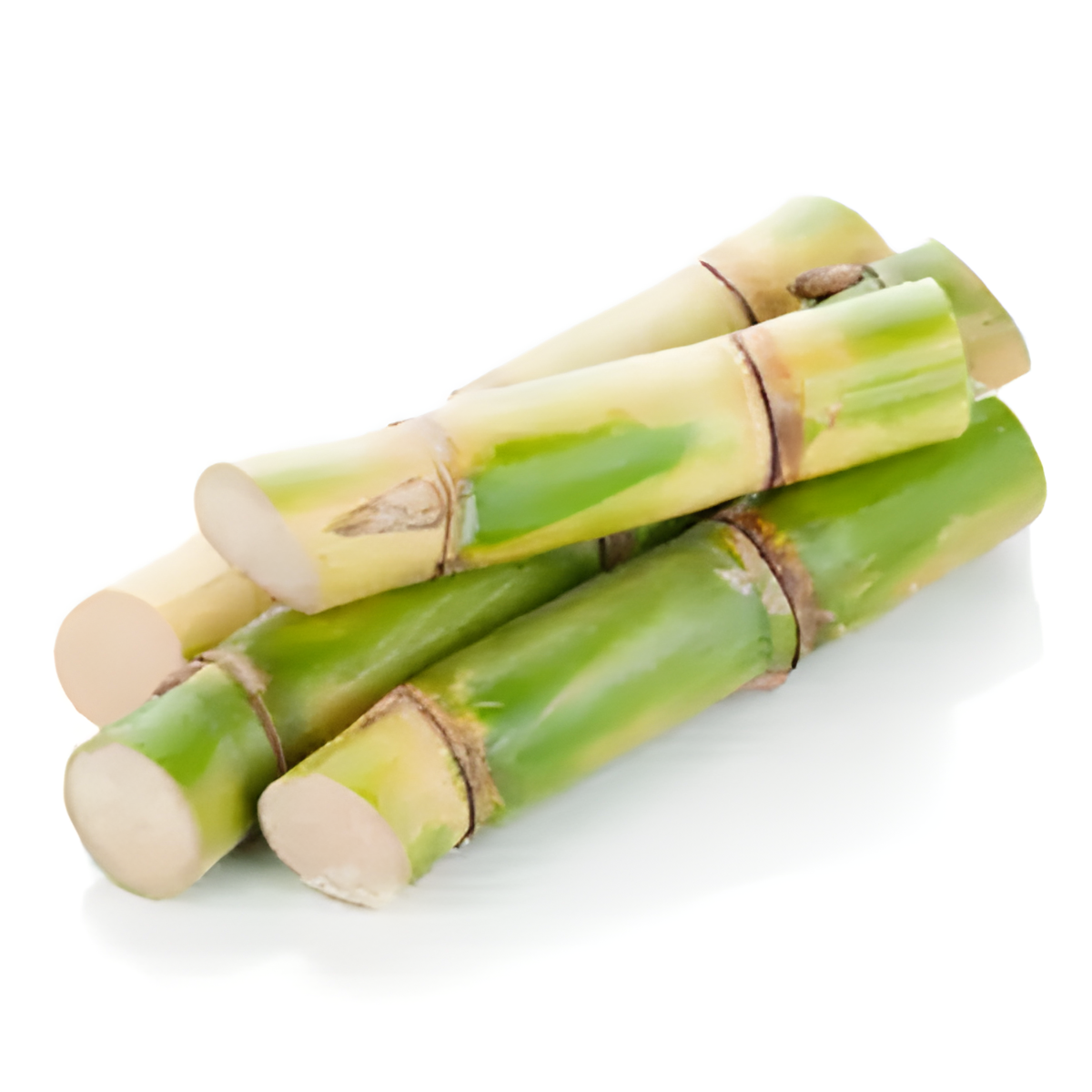 ESENCIJA ŠEĆERNE TRSKE